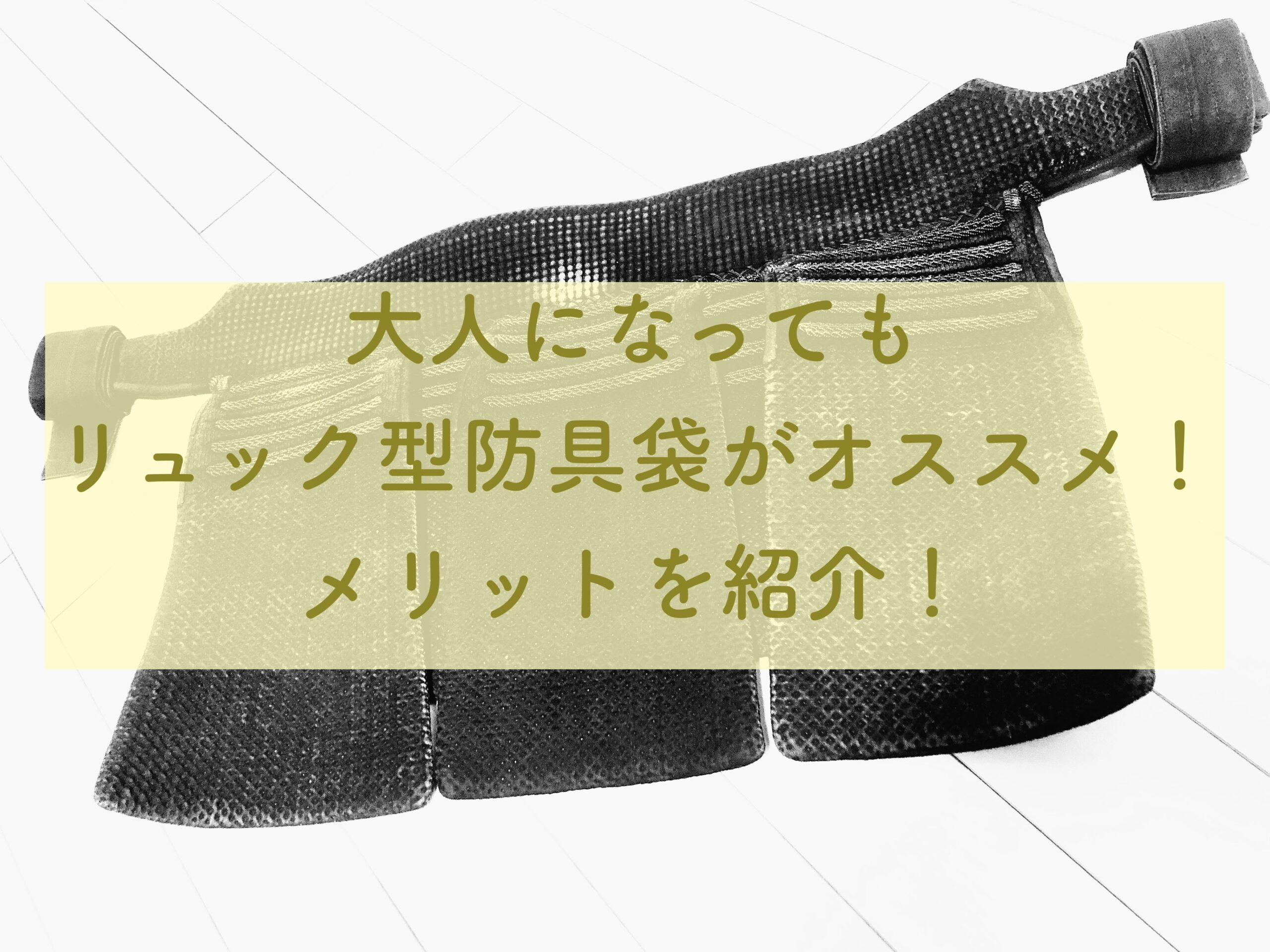 剣道以外のブランドのキャリー型防具袋を紹介！ | 若手向け剣道指導者ブログ